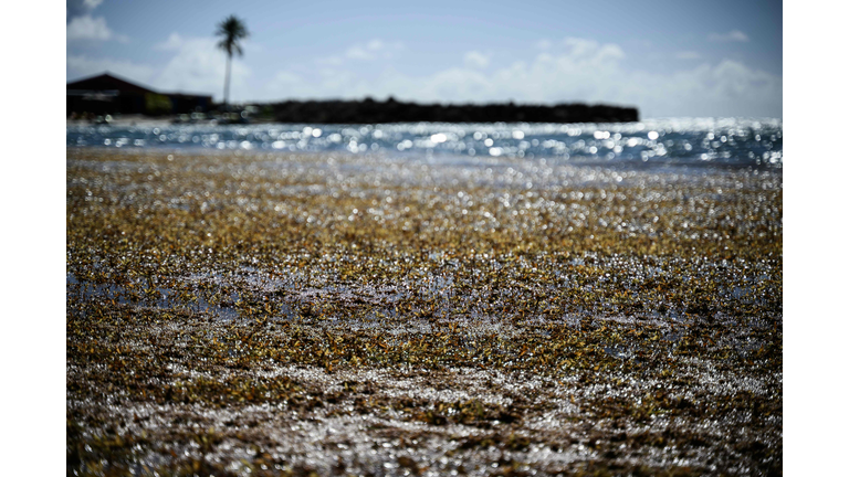 FRANCE-OVERSEAS-ENVIRONMENT-NATURE-POLLUTION