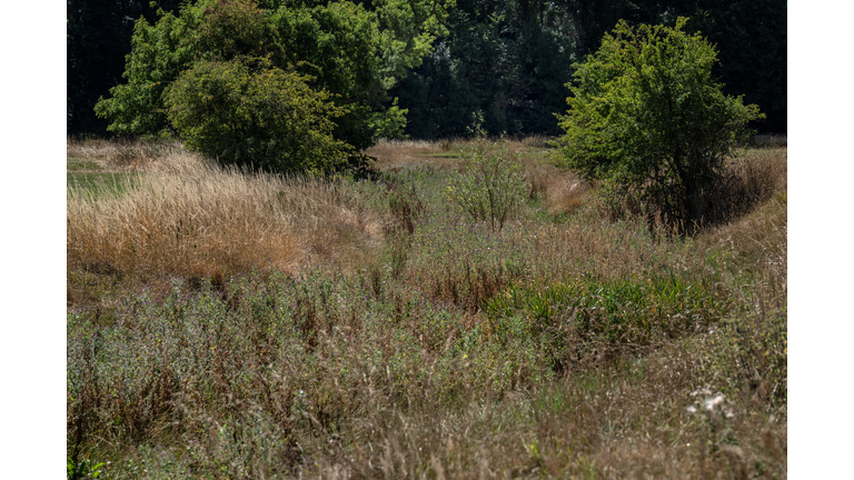 Thames Headwaters Shift Downriver Amid England's Dry Spell