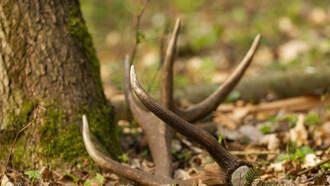 The Great Outdoors - Take A Listen