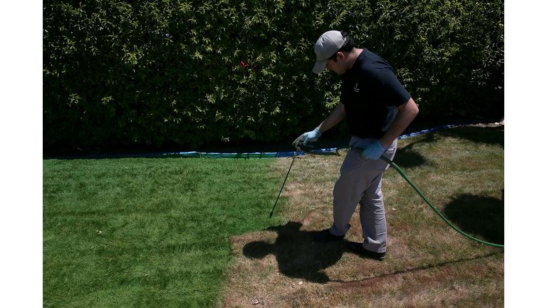 Grass Painting Company Profits From California Drought
