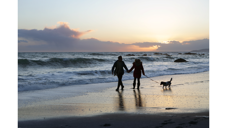 Couple walking dog on beach at sunset