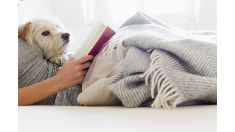 Woman reading in bed with dog