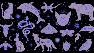 Astrology Insights / Animal Communication