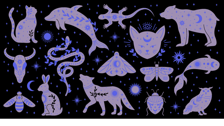 Amazing Animal Stories