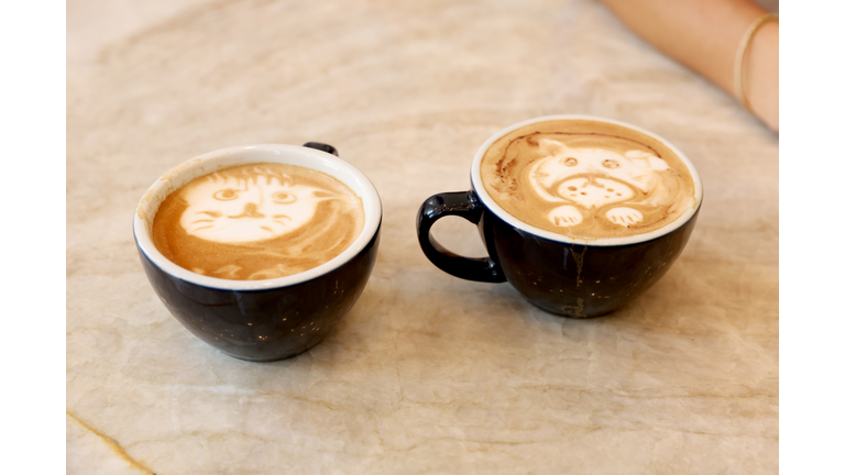 Tennis Pros Belinda Bencic And Alex de Minaur Kick Off The Opening Of Park Terrace Hotel's New Coffee Lounge And Take On A New Challenge In Time For National Dog Day: Latte Foam Art!