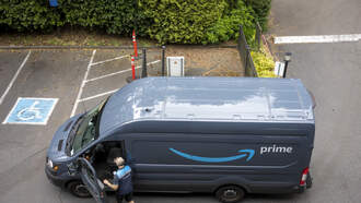 Delivery Driver Steals A Cat???