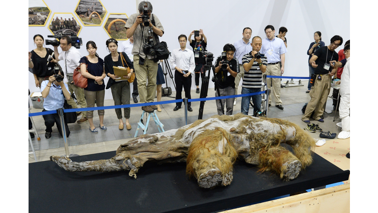 JAPAN-MAMMOTH-ANIMAL-EXHIBITION