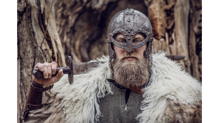 Viking warrior king in a forest