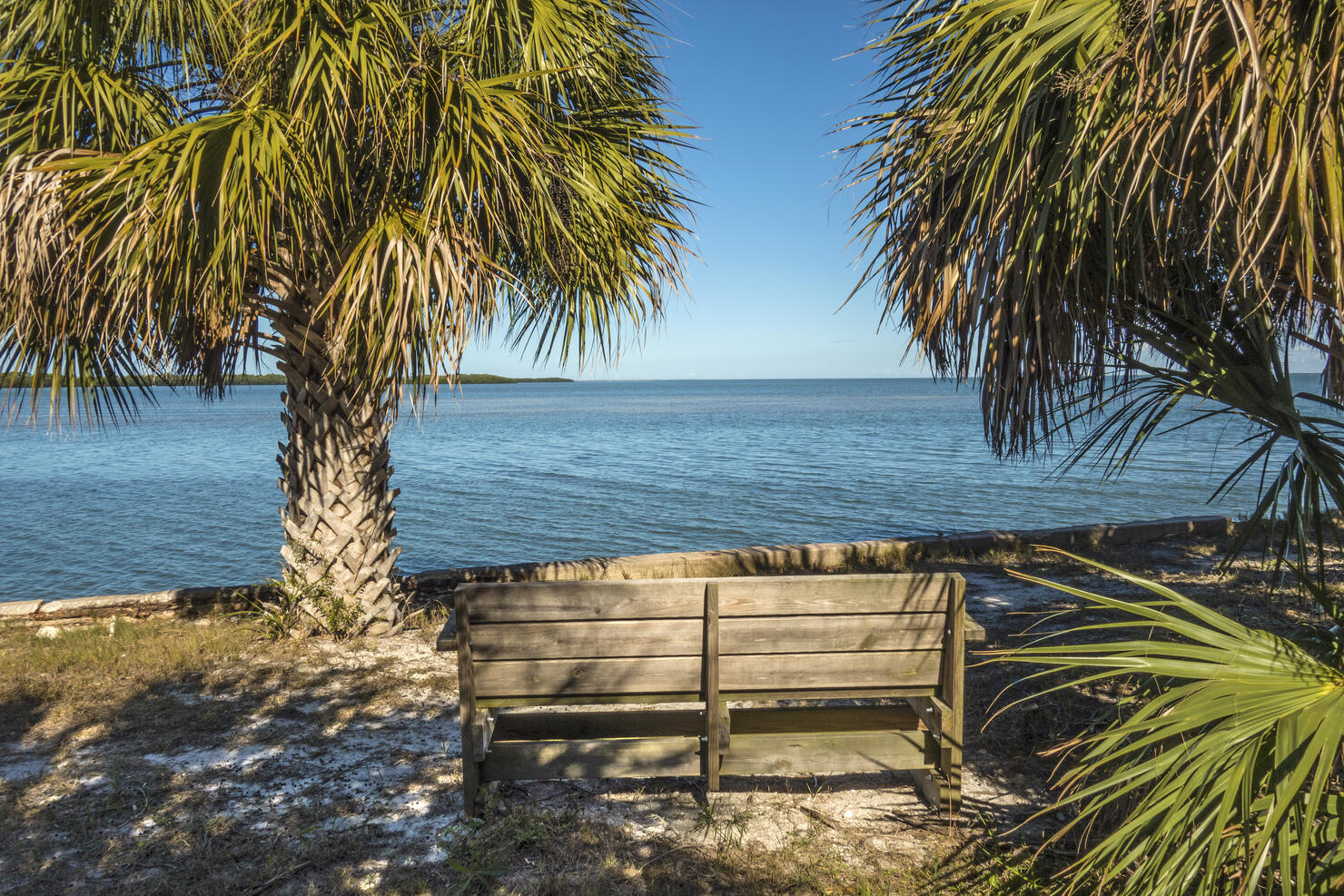 View from a bench