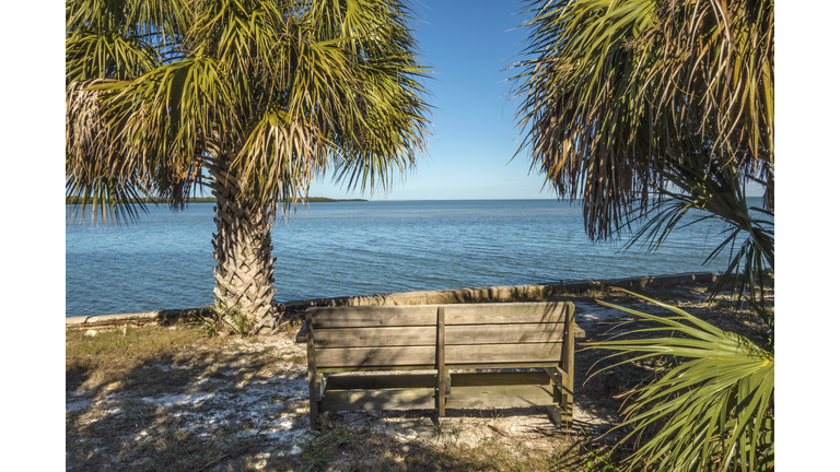 View from a bench