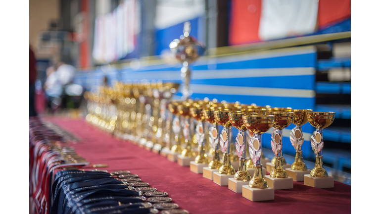 Gold champion trophies and medals lined up in rows