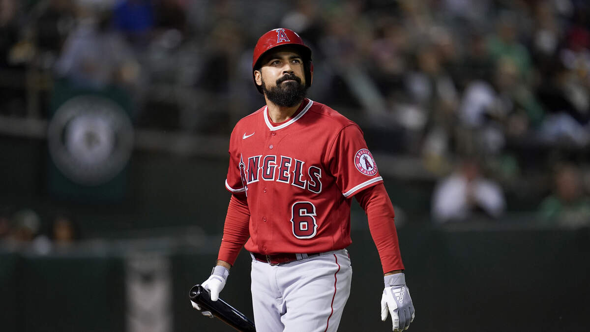 MLB investigating video showing Angels' Anthony Rendon grabbing