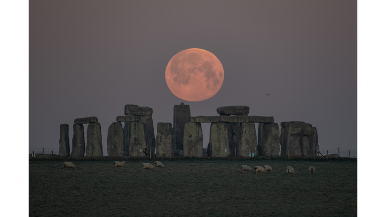 Pink Supermoon Lights Up April Skies In The UK