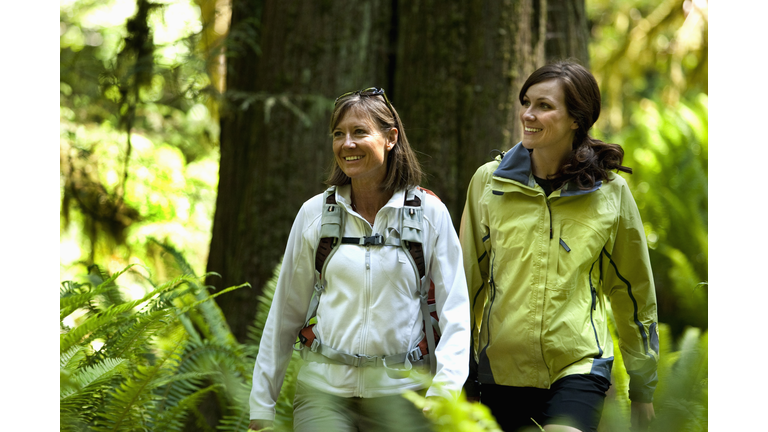 Two hikers walk a trail leading through a forest of green ferns, thick moss and large trees.
