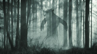 Dogman Encounters / Remote View Ranch