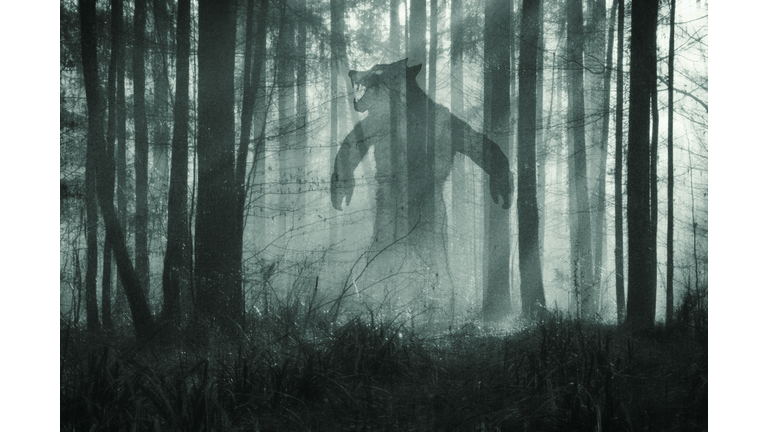 Dogman Encounters / Remote View Ranch