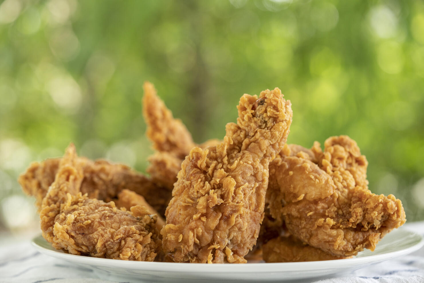 Delicious homemade oven baked fried chicken on a white plate, side view. Closeup.