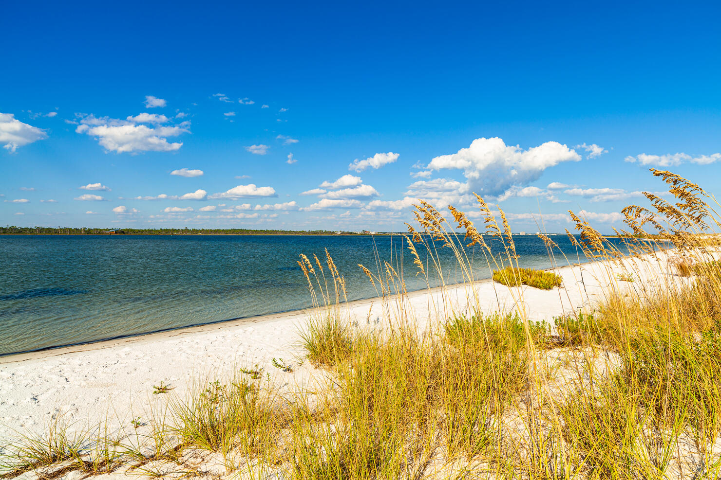 Beautiful North Florida Beach