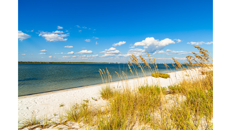 Beautiful North Florida Beach