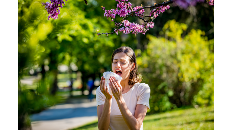 Young pretty woman blowing nose in front of blooming tree. Spring allergy concept