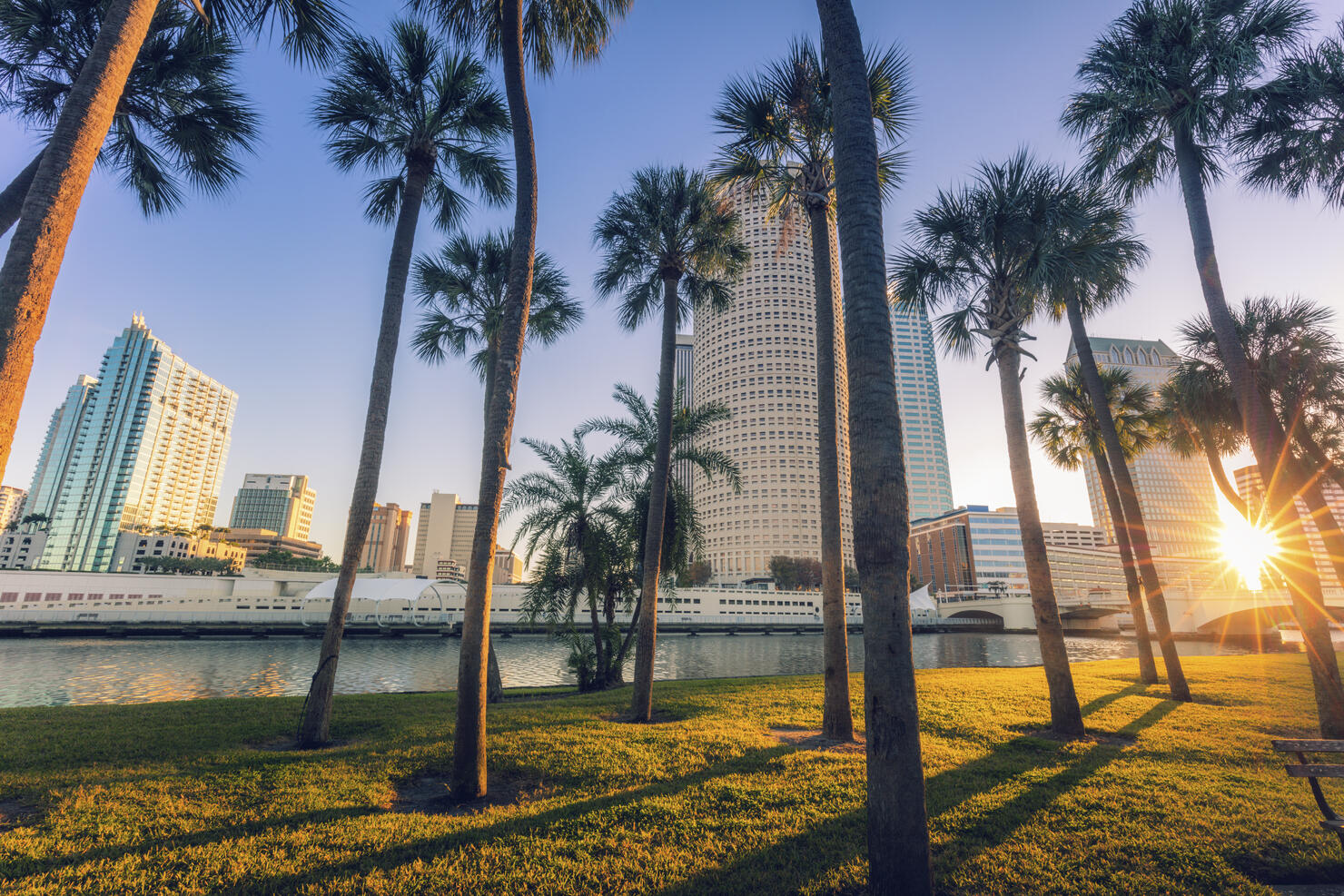 Downtown of Tampa