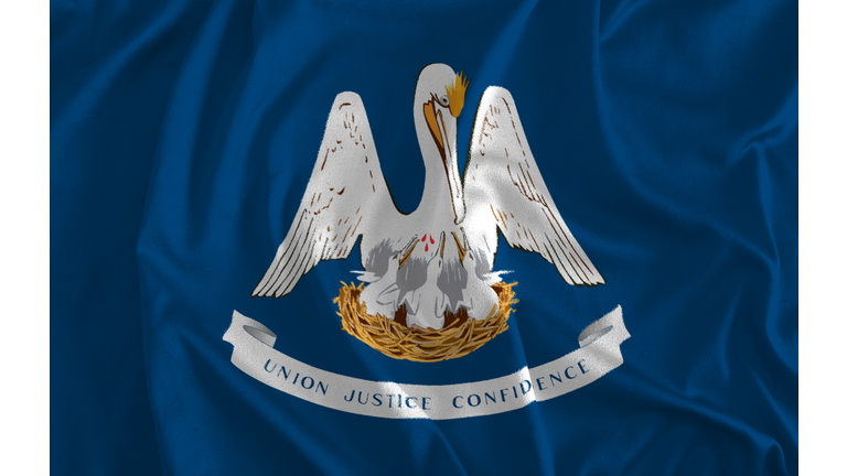 Flag of Louisiana Background, Pelican State