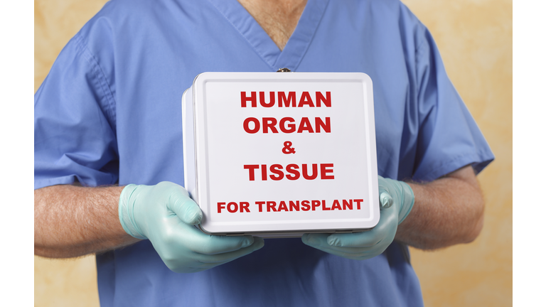 Human organ and tissue transplant