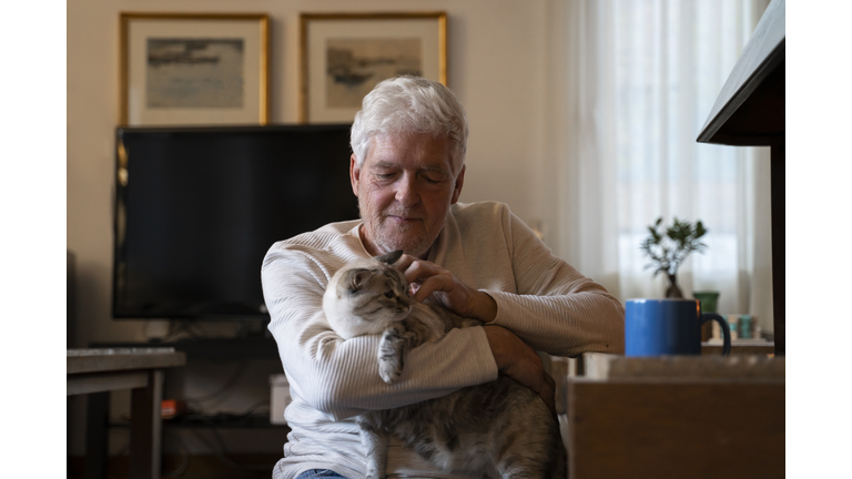 Man playing with cat while sitting at home