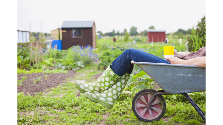 Caucasian gardener laying in wheelbarrow in garden