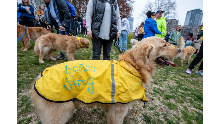 US-LIFESTYLE-DOGS-BOSTON-MARATHON