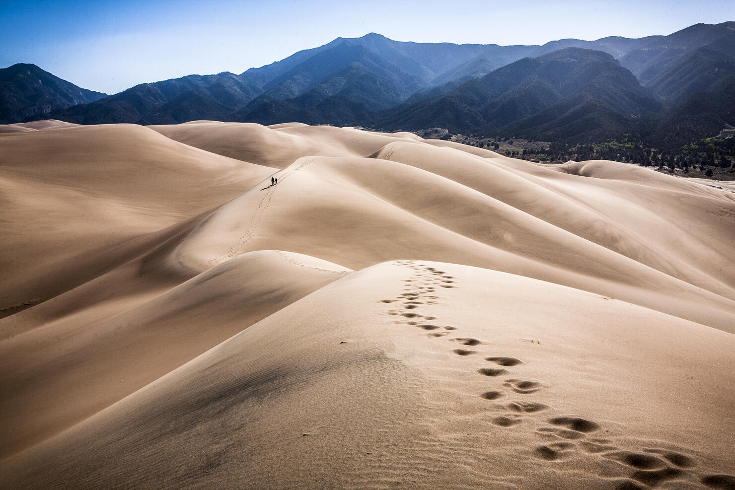 A pair of hikers treks along the dunes at Great Sand Dunes NP.