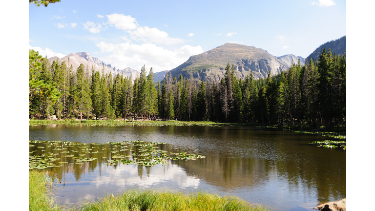 Nymph Lake, Colorado