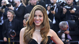 Shakira no había podido mudarse a su casa en Miami por este detalle 