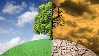 Climate & Vegetation / Star Seeds & Hypnotherapy