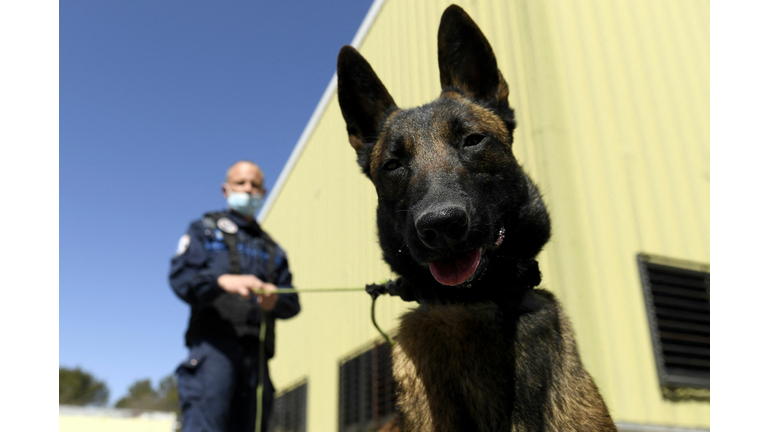 FRANCE-ARMY-POLICE-DOGS