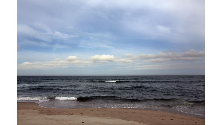 Increased Shark Sightings Along Cape Cod Coast Linked To Seal Population Growth