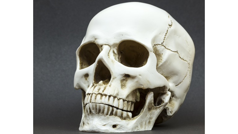 Close-Up Of Human Skull Against Black Background