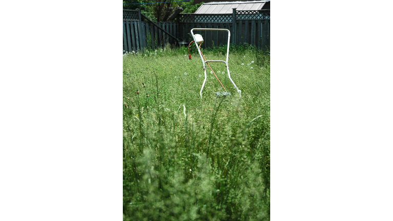 Lawn mower in backyard