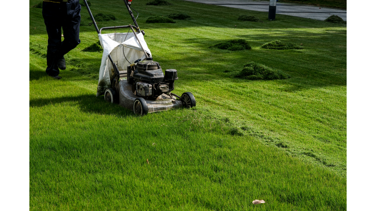 A lawn mower working in the grass