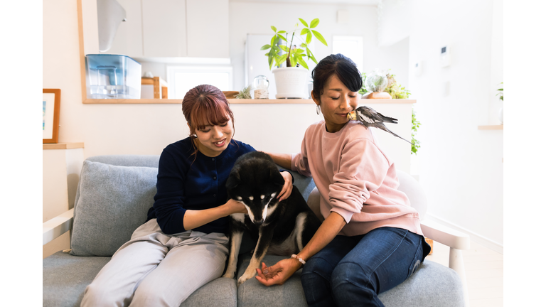 Mother and daughter relaxing with their pets in the living room of their home.