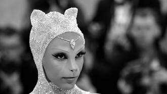 Doja Cat May Have Blown Her Chances For Future Met Gala Invites