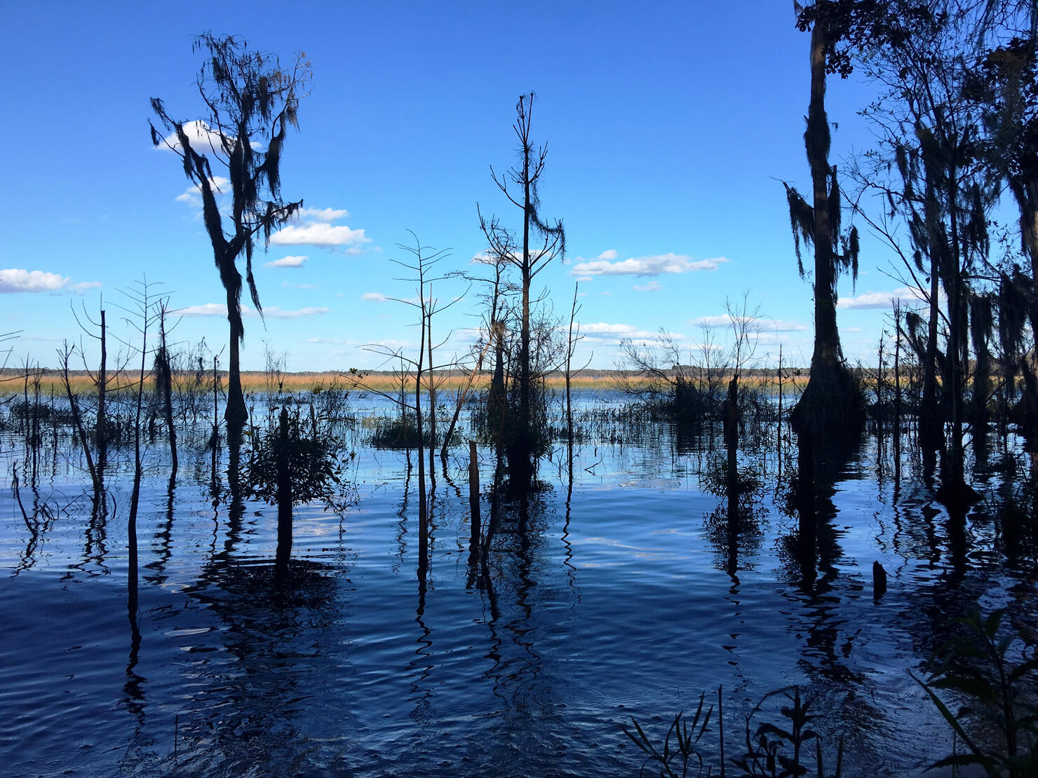 Landscape Reflections