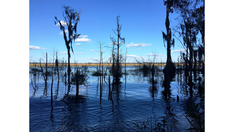Landscape Reflections