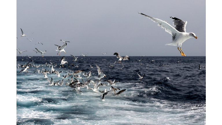 FRANCE-FISHING