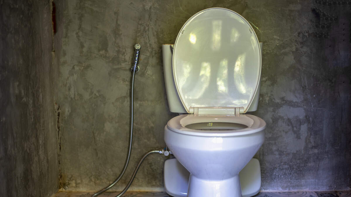 The Creepy  Series 'Skibidi Toilet' Is Making Gen Z Feel Old!, WiLD  94.9
