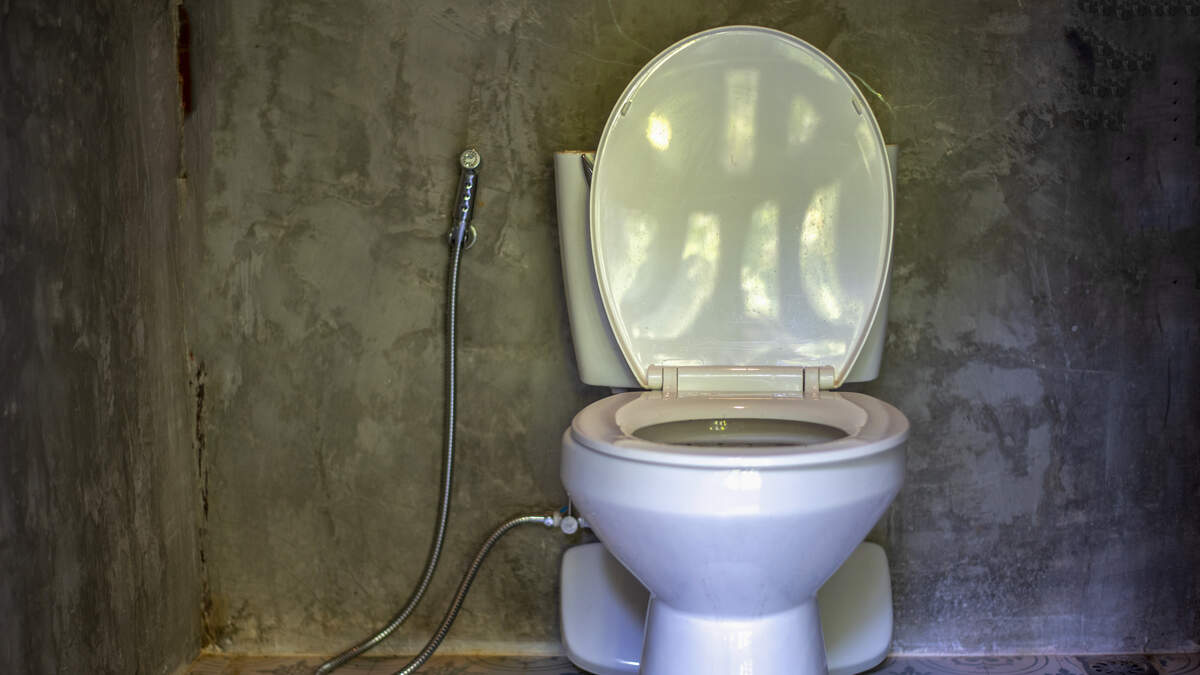 s New Trend Features Creepy Singing Toilet-Creatures