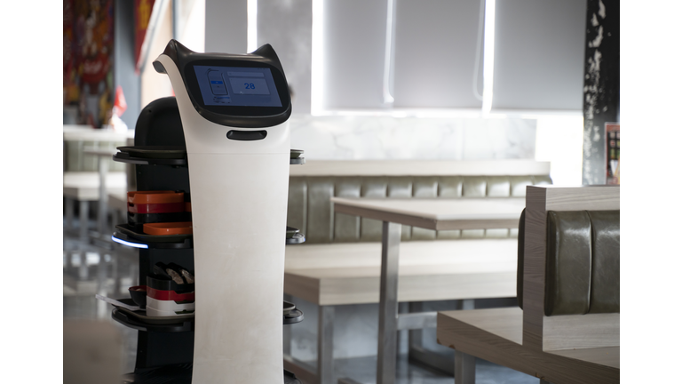 service robot