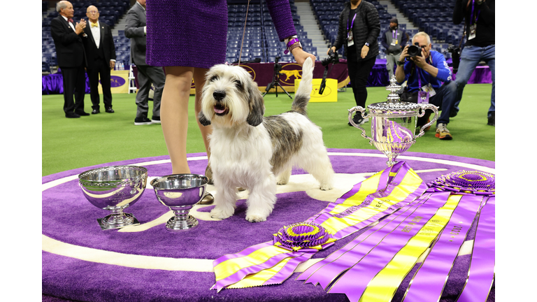 147th Annual Westminster Kennel Club Dog Show Presented by Purina Pro Plan