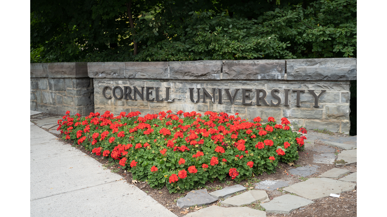 Cornell University entrance sign