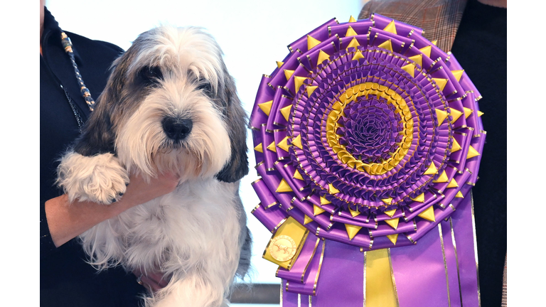 US-ANIMAL-DOG-WESTMINSTER-WINNER